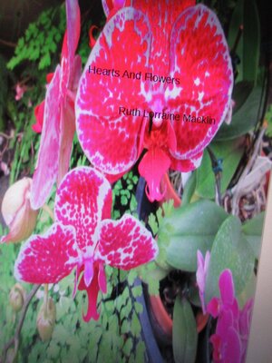 cover image of Hearts and Flowers
